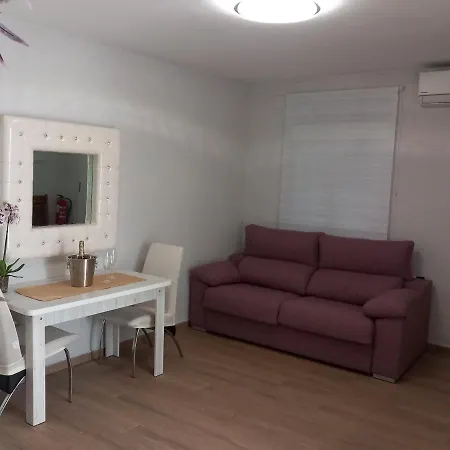 Apartamentos De La Haya & Suite Con Jacuzzi, Junto Al Teatro Romano Mérida Buitenkant foto